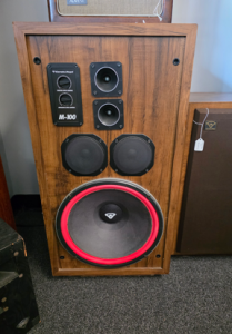 Cerwin Vega M-100